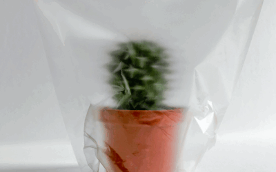 saco plástico para plantas