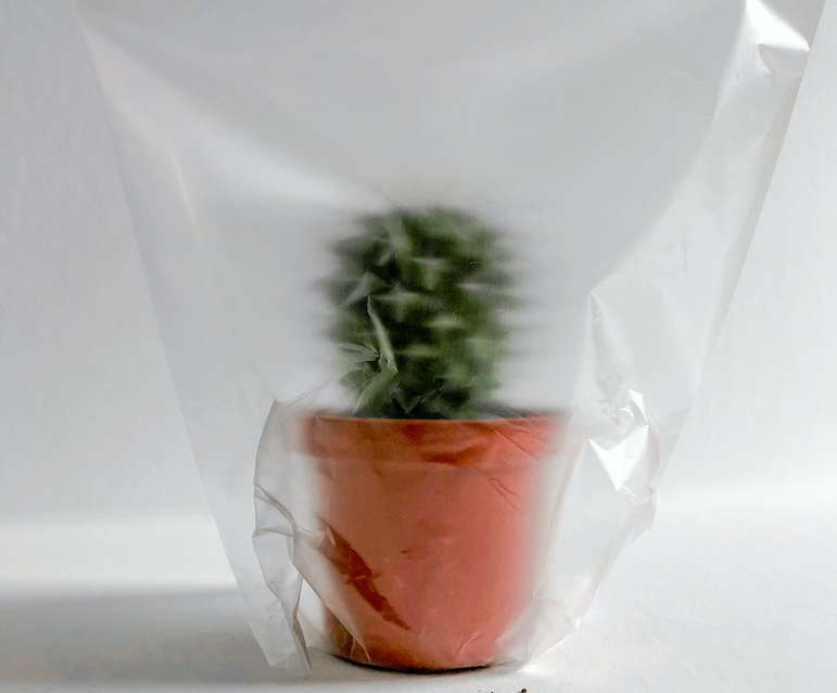saco plástico para plantas