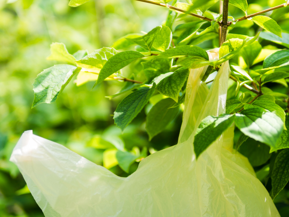 Descubra como implementar embalagens ecológicas na sua indústria. Soluções sustentáveis que reduzem custos e impacto ambiental. Saiba mais!
