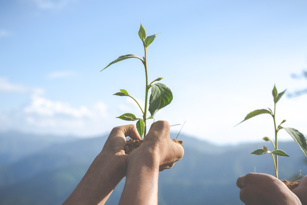 Sustentabilidade nas empresas: caminhos para um futuro sustentável e competitivo