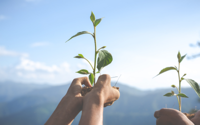 Sustentabilidade nas empresas: caminhos para um futuro sustentável e competitivo
