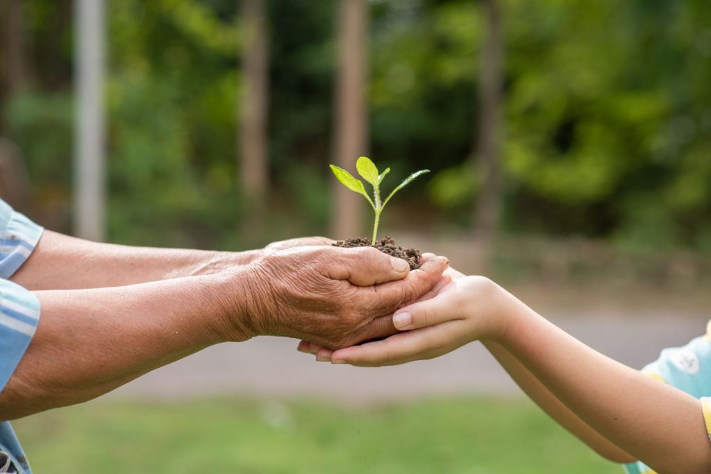 Expandindo a conscientização ambiental: Projeto Cidadão Consciente