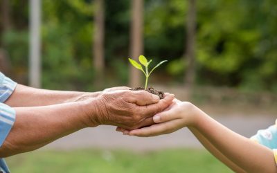 Expandindo a conscientização ambiental: Projeto Cidadão Consciente