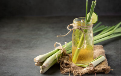 potinho com água e citronela