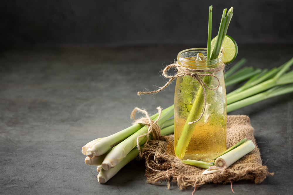 potinho com água e citronela